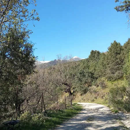 El Labrao De Alardos *
