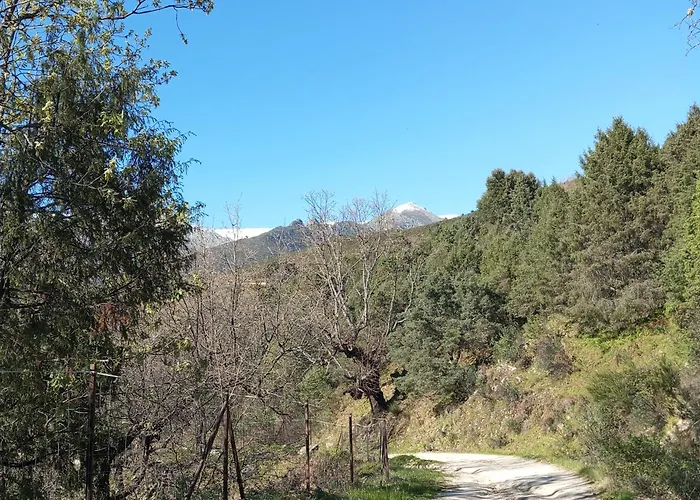 El Labrao De Alardos *